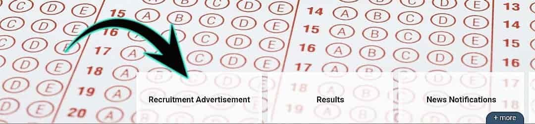 Rajasthan CET Graduation Level Syllabus