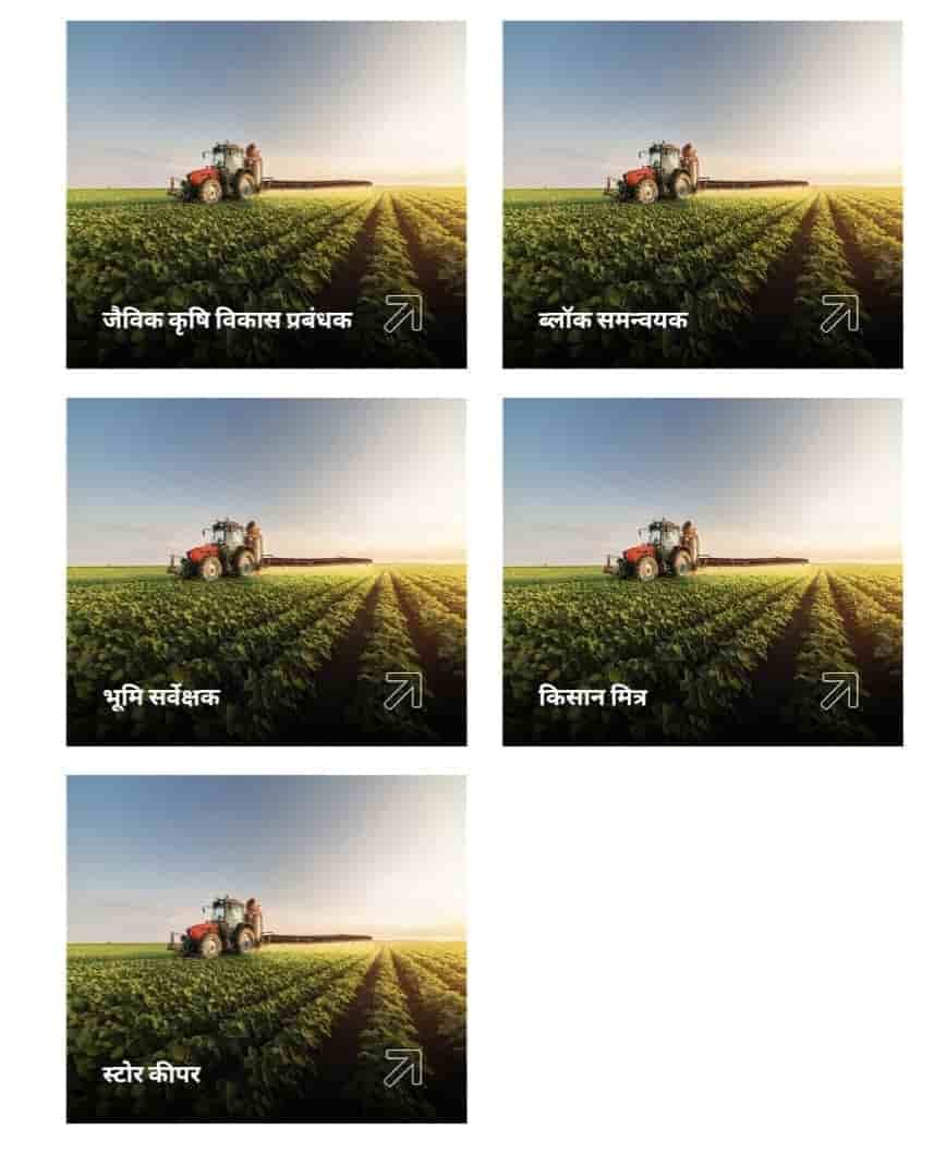 Rajasthan Krishi mitra Vacancy 2024