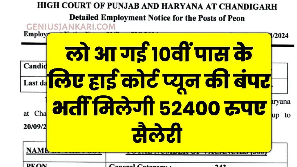 High Court Chaprasi Vacancy 2024