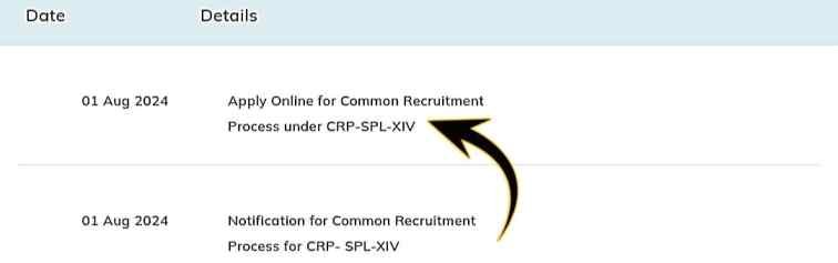 IBPS Specialist Officer 2024 Registration
