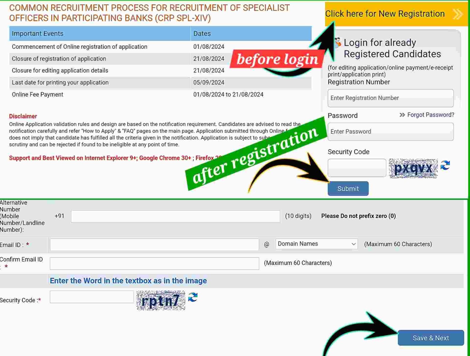 IBPS Specialist Officer 2024 Apply Online