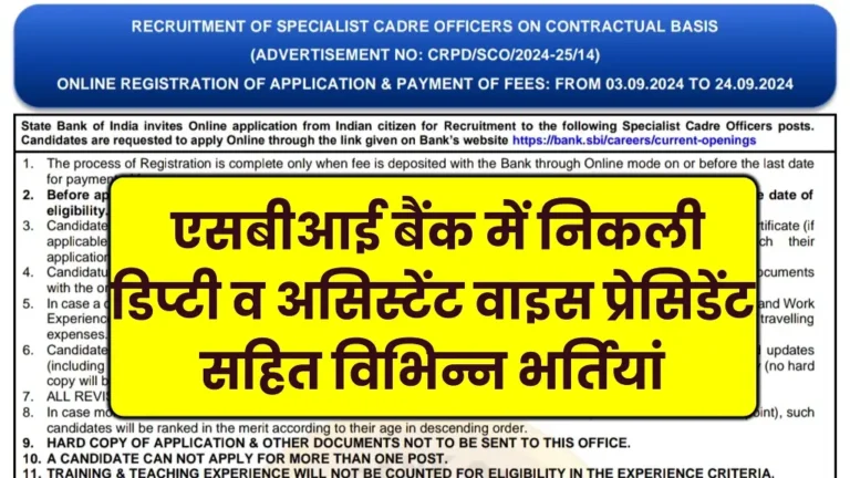 SBI Vice President Vacancy 2024