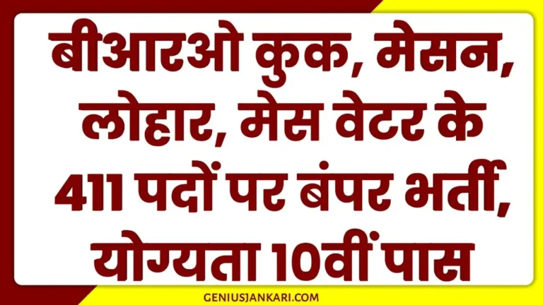 BRO MSW Vacancy 2025