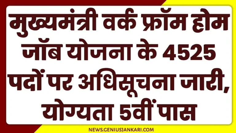 Mukhyamantri Work From Home 2025