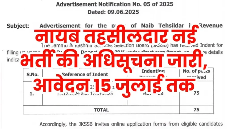 Nayab Tehsildar Bharti 2025